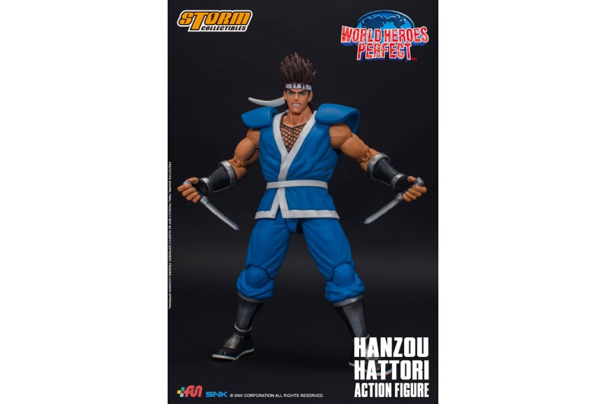World Heroes Perfect Hattori Hanzou Storm Collectibles 