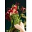 DC COMICS Bishoujo DC UNIVERSE Poison Ivy Returns 1/7 Kotobukiya
