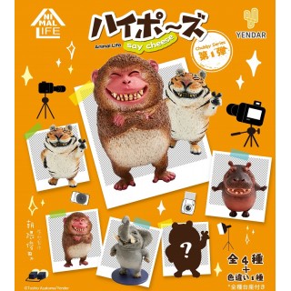 ANIMAL LIFE Chubby Series Hai Pose Pack of 6 Yendar