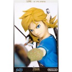 The Legend of Zelda Breath of the Wild Link 10 Inch PVC Statue First 4 Figures