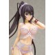 Lingerie Style Infinite Stratos Shinonono Houki wave corporation