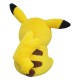 Pokemon ALL STAR COLLECTION Plush PP165 Pikachu San-ei Boeki