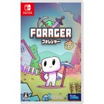 Nintendo Switch Forager Flyhigh Works