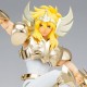 Saint Cloth Myth EX Cygnus Hyoga (New Bronze Cloth) ~ TAMASHII NATIONS TOKYO GOLDEN LIMITED EDITION ~ Bandai Limited