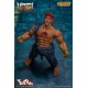 Street Fighter Ultra IV Evil Ryu Storm Collectibles