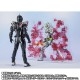 S.H. Figuarts Kamen Rider Zero-One - Kamen Rider Ark-Zero and Ark Effect Parts Set Bandai Limited