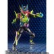 S.H. Figuarts Kamen Rider Revice Bandai Limited