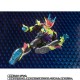 S.H. Figuarts Kamen Rider Revice Bandai Limited