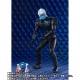 S.H. Figuarts Kamen Rider Revice Vice & Lovekov & Option Parts Set Bandai Limited