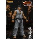 Virtua Fighter eSports Akira Yuki Storm Collectibles