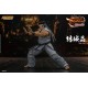 Virtua Fighter eSports Akira Yuki Storm Collectibles