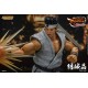 Virtua Fighter eSports Akira Yuki Storm Collectibles