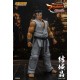 Virtua Fighter eSports Akira Yuki Storm Collectibles