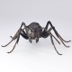 REVO GEO Japanese Carpenter Ant Kaiyodo