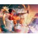 S.H.Figuarts Monkey D. Luffy Raid on Onigashima ONE PIECE BANDAI SPIRITS