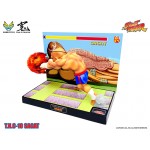 Street Fighter II Street Fighter T.N.C 10 Sagat Big Boys Toys