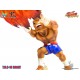 Street Fighter II Street Fighter T.N.C 10 Sagat Big Boys Toys