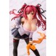 The Testament of Sister New Devil Mio Naruse 1/8 PULCHRA