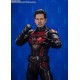 S.H.Figuarts Ant-Man and the Wasp Quantumania - Ant-Man BANDAI SPIRITS