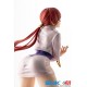 SNK Heroines Tag Team Frenzy SNK Bishoujo Shermie 1/7 Kotobukiya