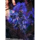 S.H. Figuarts Berserk Guts (Berserker Armor) Passion BANDAI SPIRITS