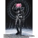 S.H. Figuarts Kamen Rider Geats Desire Grand Prix Entry Raise Set Bandai Limited