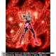 Saint Seiya Myth Cloth Phoenix Ikki 20th Anniversary Ver. Bandai Limited