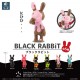 BLACK RABBiT Pack of 6 SO-TA