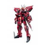 Robot Spirits Mobile Suit Gundam SEED SIDE MS GAT X303 Aegis Gundam ver. A.N.I.M.E. BANDAI SPIRITS
