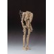 S.H. Figuarts Star Wars Battle Droid Episode I The Phantom Menace BANDAI SPIRITS