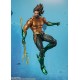 S.H.Figuarts Aquaman and the Lost Kingdom - Aquaman BANDAI SPIRITS