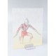 S.H. Figuarts Ultraman BANDAI SPIRITS