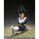 S.H.Figuarts Dragon Ball Z Vegeta Old Battle Suit Bandai Limited