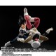 S.H.Figuarts Dragon Ball Z Vegeta Old Battle Suit Bandai Limited