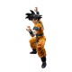 S.H. Figuarts Dragon Ball SUPER HERO Son Goku Super Hero BANDAI SPIRITS