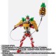 S.H.Figuarts (Shinkocchou Seihou) Kamen Rider Gaim Arms Change Set (Pine Arms and Ichigo Arms) Bandai Limited