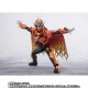 S.H.Figuarts Kamen Rider Fire Gatchard Daybreak / Gatchard Daybreak Steam Hopper Bandai Limited