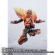 S.H.Figuarts Kamen Rider Fire Gatchard Daybreak / Gatchard Daybreak Steam Hopper Bandai Limited