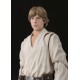 S.H. Figuarts Star Wars A NEW HOPE Luke Skywalker BANDAI SPIRITS