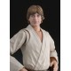 S.H. Figuarts Star Wars A NEW HOPE Luke Skywalker BANDAI SPIRITS