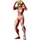 Revoltech Amazing Yamaguchi Attack on Titan Female Titan (With Bonus) Kaiyodo Limited