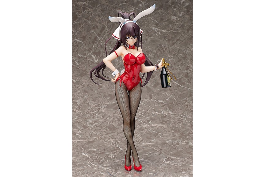  FREEing Shin Ikki Tousen: Kanu Unchou (Bunny Ver.) 1:4