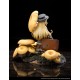 Mushroom Girls Series No.3 Pleurotus Citrinopileatus 1/1 Reverse Studio