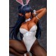 Bastard!! Heavy Metal, Dark Fantasy Arshes Nei Bunny Ver. 1/4 FREEing