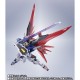 METAL ROBOT Spirits (SIDE MS) Mobile Suit Gundam SEED Destiny - Destiny Gundam (Re:Coordinate) Bandai Limited