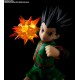 S.H. Figuarts Hunter x Hunter Gon BANDAI SPIRITS