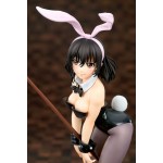 Strike the Blood Yukina Himeragi Bunny Girl Style 1/7 ques Q