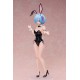 ReZERO Starting Life in Another World Rem Bare Leg Bunny Ver. 2nd 1/4 FREEing