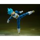 S.H.Figuarts Dragon Ball Super Super Saiyan God Super Saiyan Vegeta The pride of Saiyans BANDAI SPIRITS