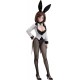 A Ninja and an Assassin Under One Roof Konoha Koga Bunny Ver. 1/6 FREEing
